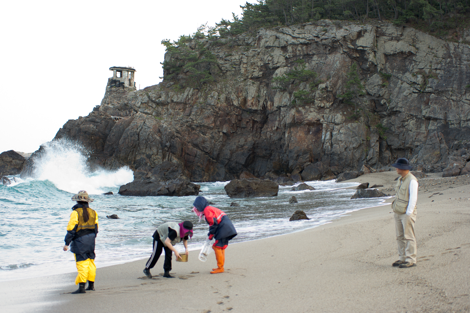 LNG 생산기지 현장조사 및 채집 (10/28-30, 삼척) 사진