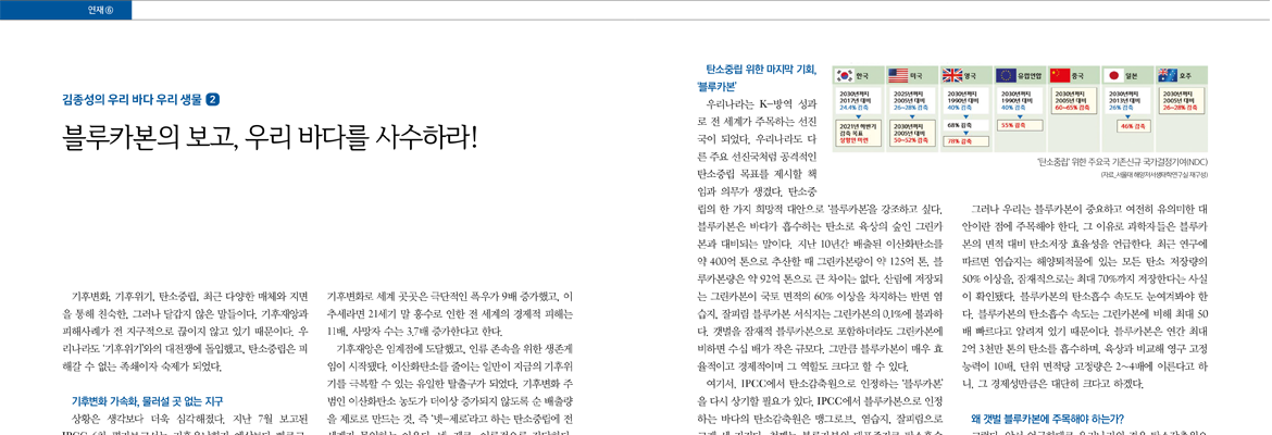 ② 블루카본의 보고, 우리 바다를 사수하라! 사진