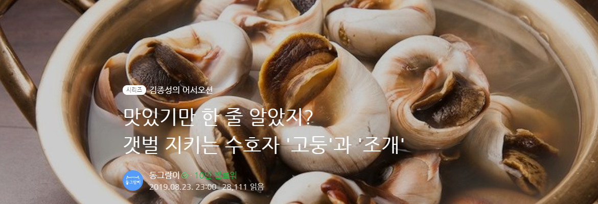 [어서오션] 맛있기만 한 줄 알았지? 갯벌 지키는 수호자 '고둥'과 '조개' 사진