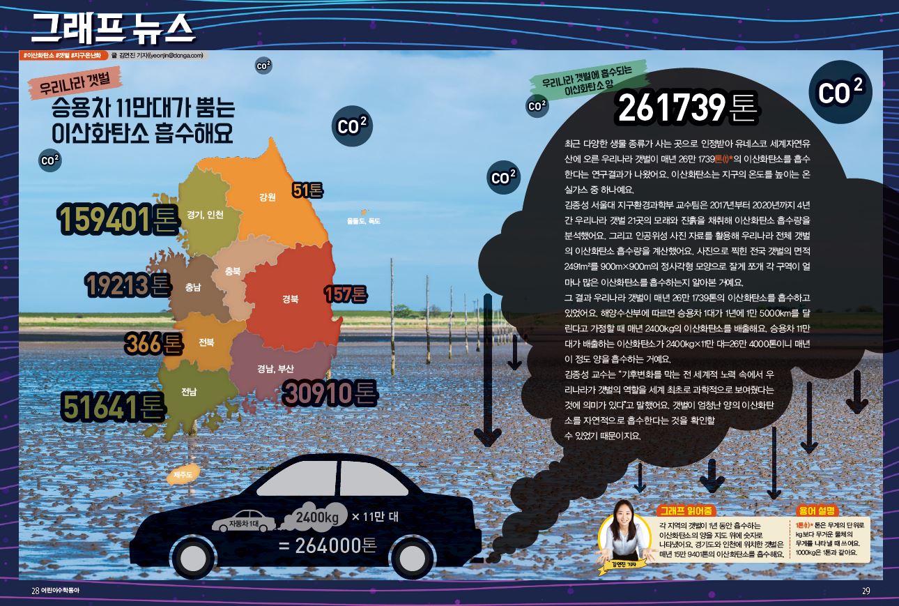 기고글 > 승용차 11만대가 뿜는 이산화탄소 흡수해요 사진