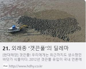 21. 외래종 ‘갯끈풀’의 딜레마 사진