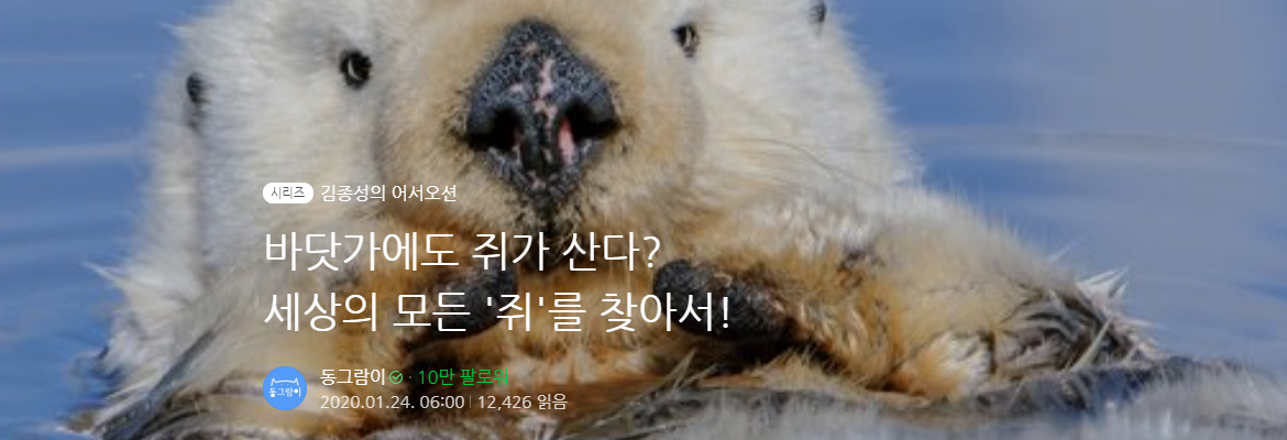 [어서오션] 바닷가에도 쥐가산다? 세상의 모든 '쥐'를 찾아서! 사진