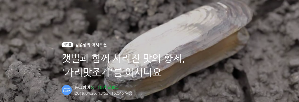 [어서오션] 갯벌과 함께 사라진 맛의 황제, '가리맛조개'를 아시나요 사진