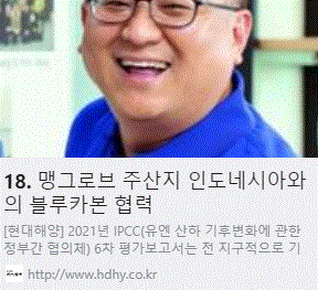 18. 맹그로브 주산지 인도네시아와의 블루카본 협력 사진