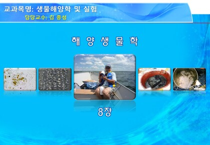 생물해양학 및 실험 10주-표영생태계&환형동물의 분류, 채집, 표본제작 및 동정 사진