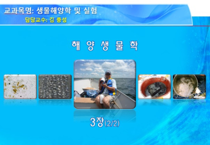 생물해양학 및 실험 5주-생태학의 기본개념2 & 해조류의 분류 사진