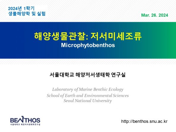 생물해양학 및 실험 4주-생태학의 기본개념1&저서미세조류 사진