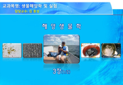 생물해양학 및 실험 4주-생태학의 기본개념1 & 염생식물의 분류 사진