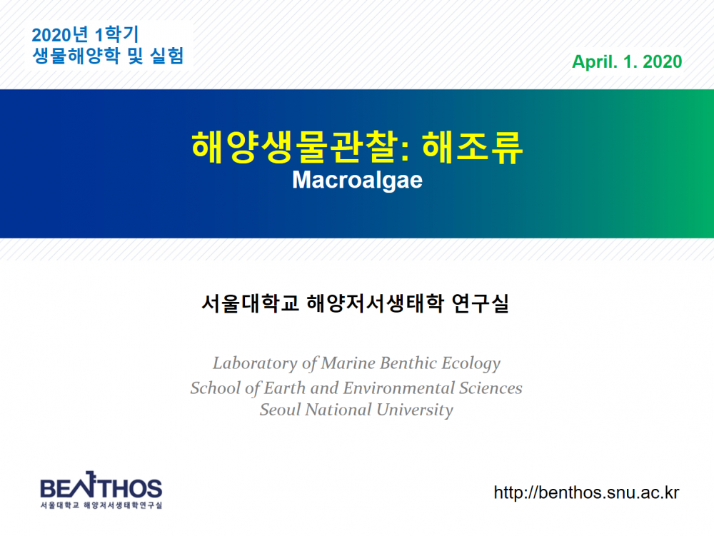 생물해양학 3주-해조류 실습 촬영 사진