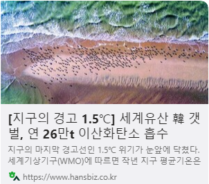 [지구의 경고 1.5℃] 세계유산 韓 갯벌, 연 26만t 이산화탄소 흡수 사진