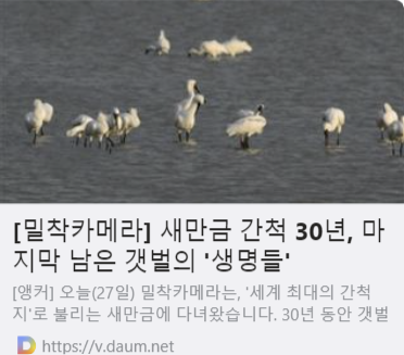 [밀착카메라] 새만금 간척 30년, 마지막 남은 갯벌의 '생명들' 사진