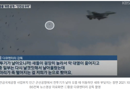 새만금공항 기본계획 취소 판결 이끈 재판부의 판단 근거는…? 사진