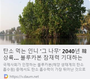 탄소 먹는 인니 ‘그 나무’ 2040년 韓 상륙… 블루카본 잠재력 기대하는 정부 사진