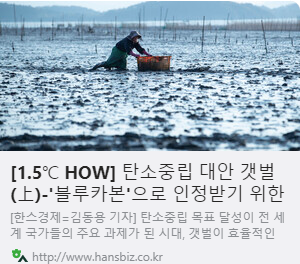 [1.5℃ HOW] 탄소중립 대안 갯벌 사진