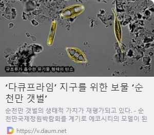 ‘다큐프라임’ 지구를 위한 보물 ‘순천만 갯벌’ 사진