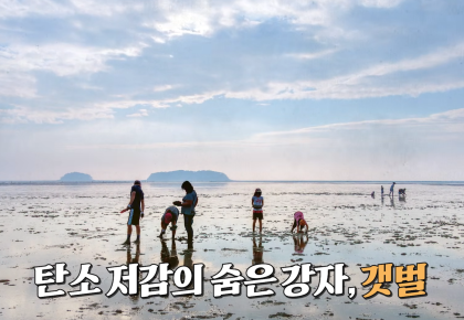 한국 갯벌 아래 1만 년 동안 쌓인 것-기후위기의 키워드, 갯벌 사진