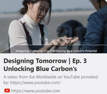 Designing Tomorrow | Ep. 3 Unlocking Blue Carbon’s Potential 사진