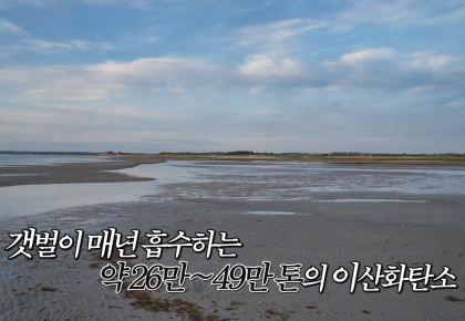 한국 갯벌 아래 1만 년 동안 쌓인 것-우리 갯벌의 탄소 흡수량 사진