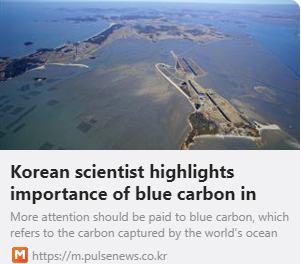 Korean scientist highlights importance of blue carbon in tackling climate change 사진