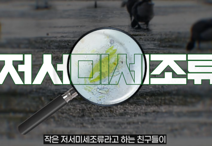 한국 갯벌 아래 1만 년 동안 쌓인 것-갯벌의 블루카본, 저서미세조류 사진