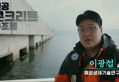 블루카본 6편: 콘크리트 방파제, 생태계의 일원이 되다 사진