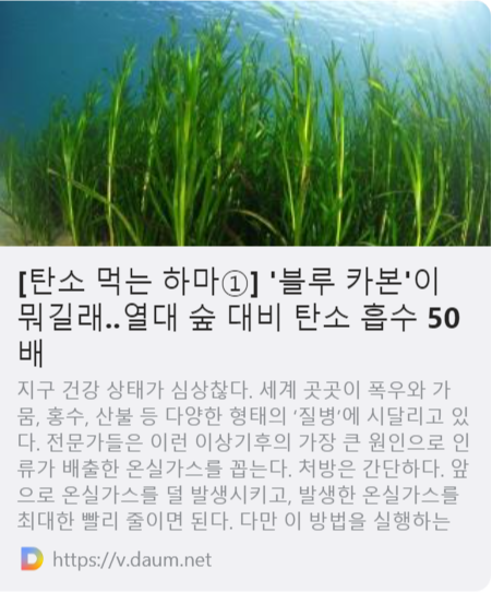 언론 > [탄소 먹는 하마①] '블루 카본'이 뭐길래..열대 숲 대비 탄소 흡수 50배 사진