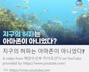 지구의 허파는 아마존이 아니었다? 사진