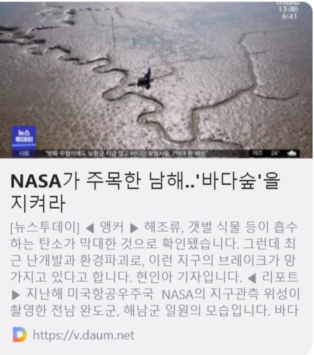 NASA가 주목한 남해‥'바다숲'을 지켜라 사진