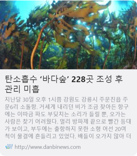 탄소흡수 ‘바다숲’ 228곳 조성 후 관리 미흡 사진