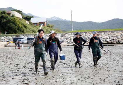 [르포]갯벌 블루카본 현장을 가다…탄소흡수원 국제인증으로 가는 길 사진