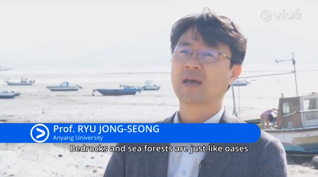 동문 > Life in South Korea's Oceans Disappearing 사진