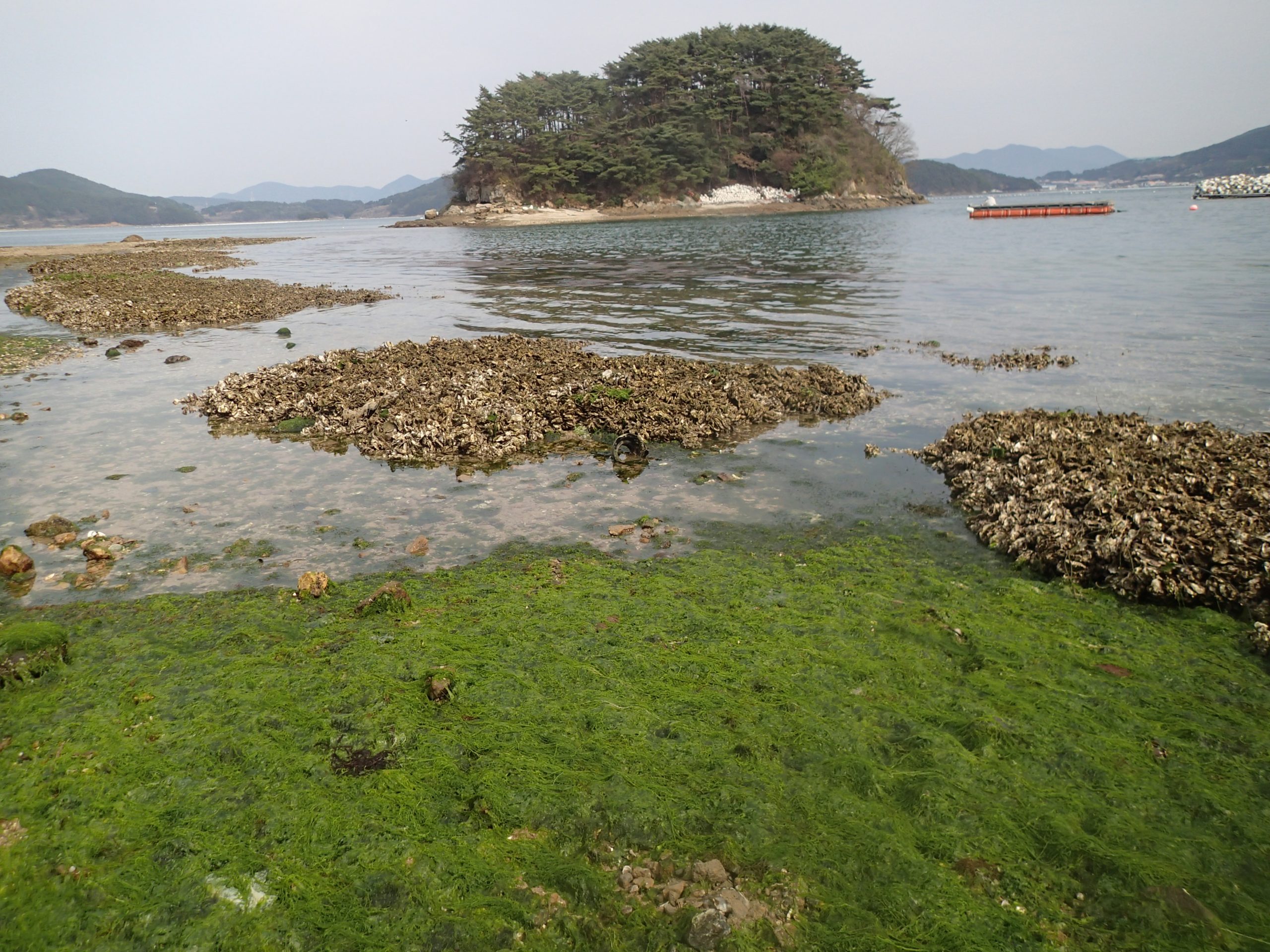 LNG 생산기지 현장조사 및 시료채집 (4/2~4, 통영) 사진