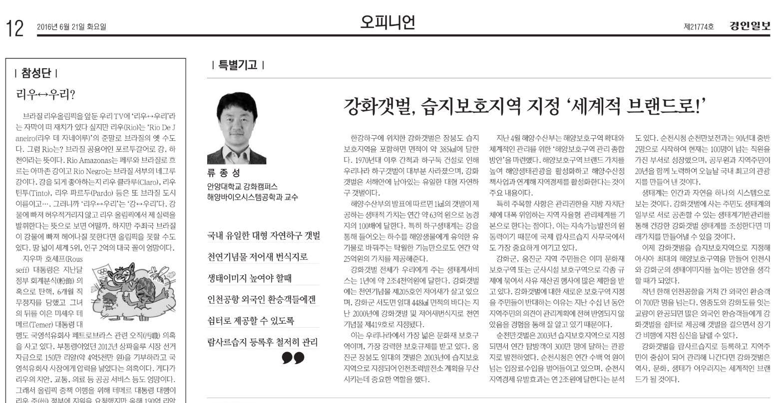 동문 > 강화갯벌, 습지보호지역 지정 '세계적 브랜드로!' 사진