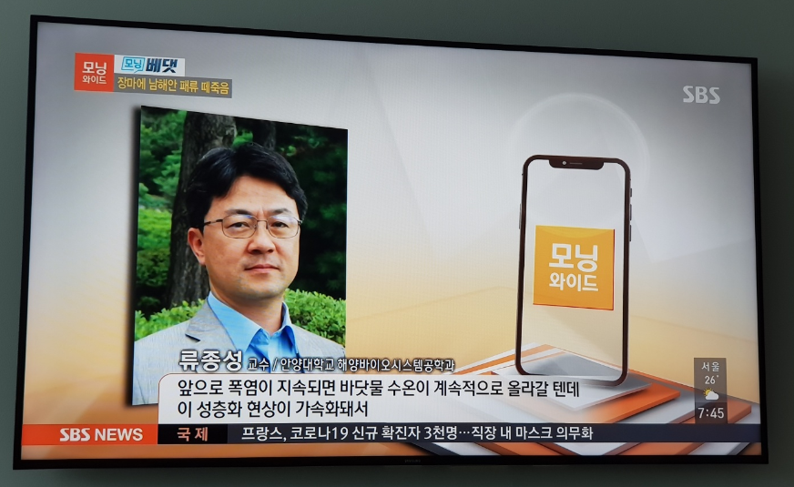 동문 > sbs모닝와이드 모닝베댓-장마에 남해안 패류 떼죽음 사진