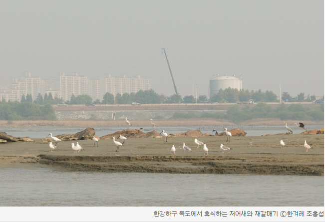 동문 > 한강 하구를 해양평화공원으로 사진