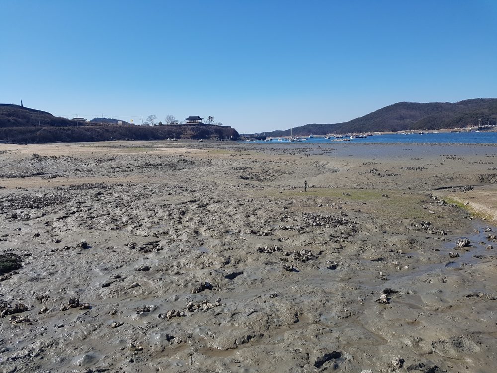 충청남도 보령 사진