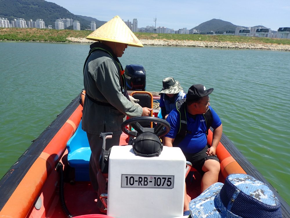 낙동강 삼각주 사진