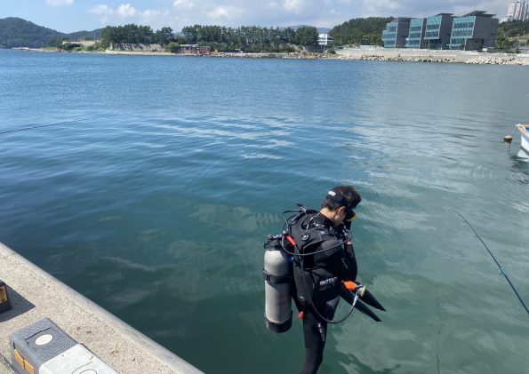 부산 이동항 사진