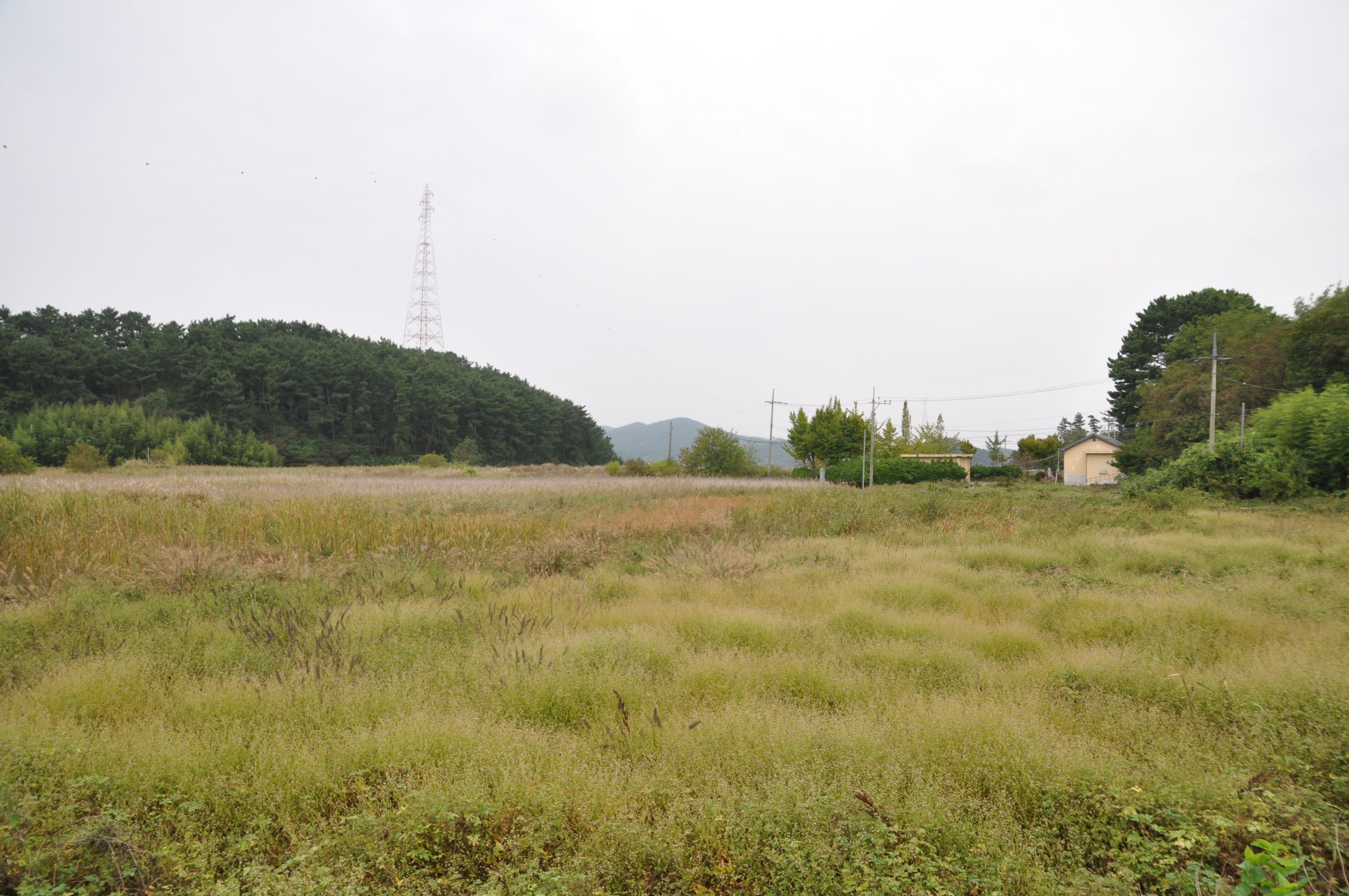 충청남도 서산시 고파도 사진