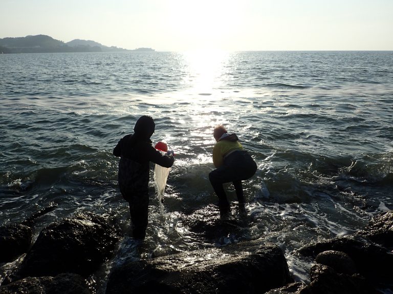 전라북도 부안군 변산해수욕장 사진