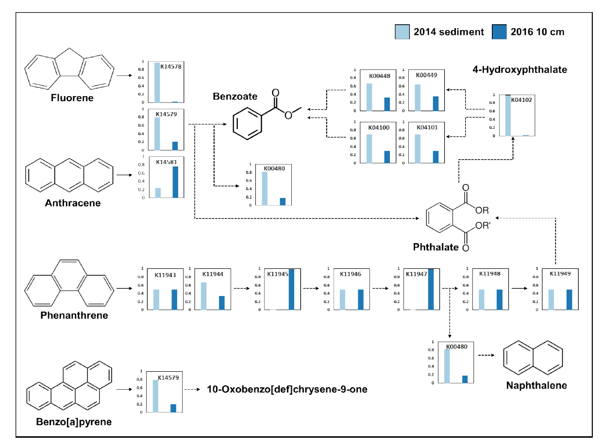 논문 > "Importance of functional diversity in assessing the recovery of the microbial communit... 사진