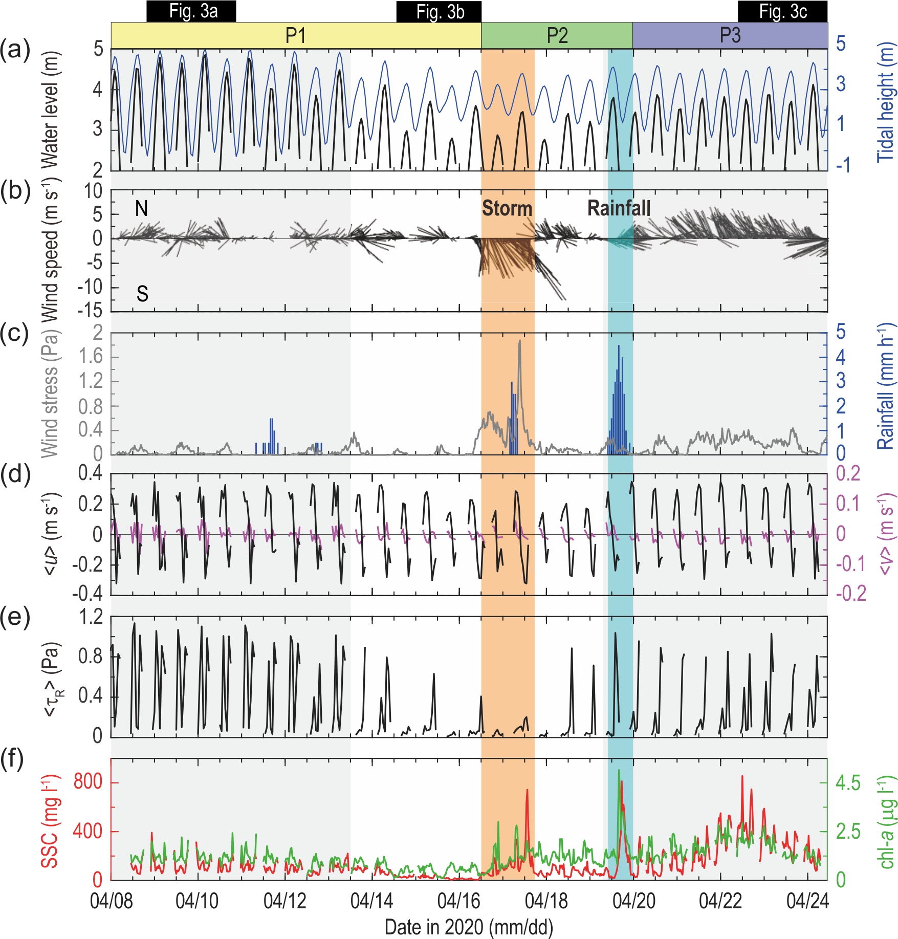 “Dynamic behaviors of suspended sediment and chlorophyll-<span class=font-italic>a</span> in interti... 사진