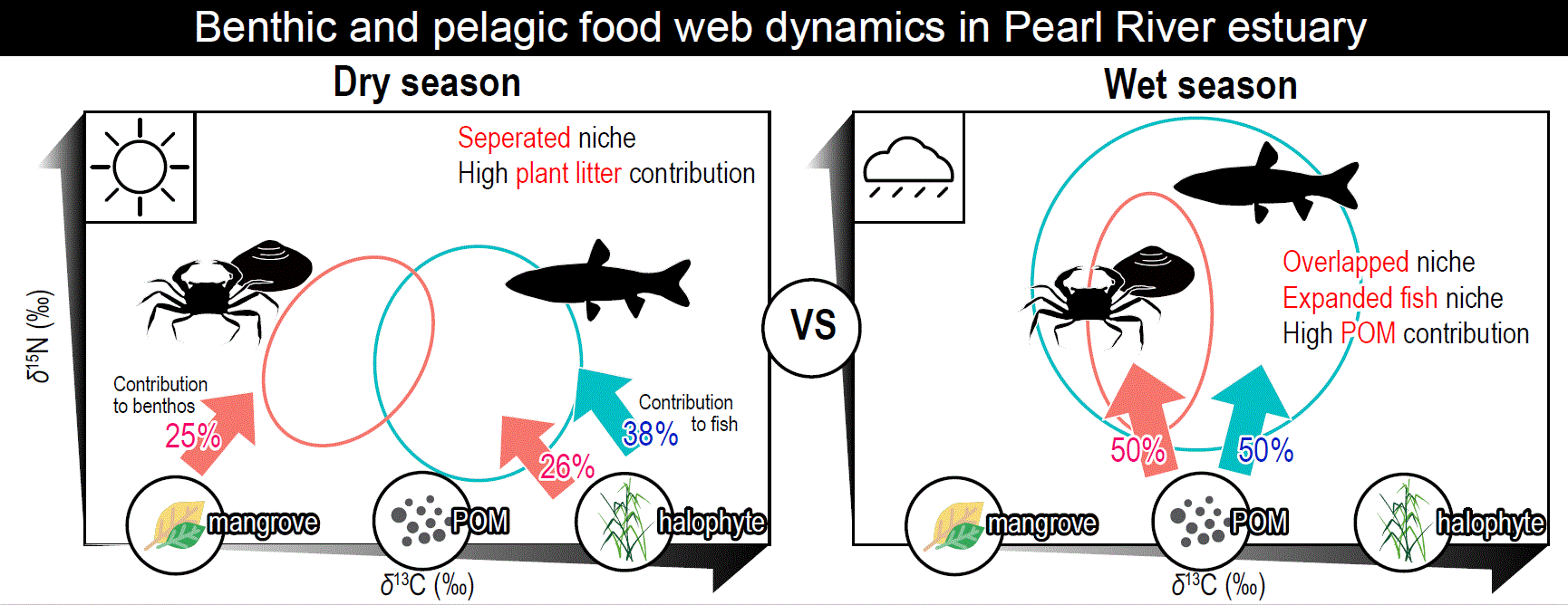 “Food web dynamics in the mangrove ecosystem of the Pearl River Estuary surrounded by megacities” Ma... 사진