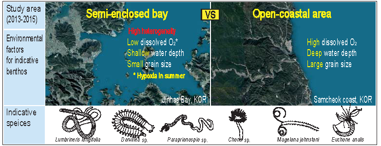 논문 > "Spatiotemporal variations in macrofaunal assemblages linked to site-specific environme... 사진