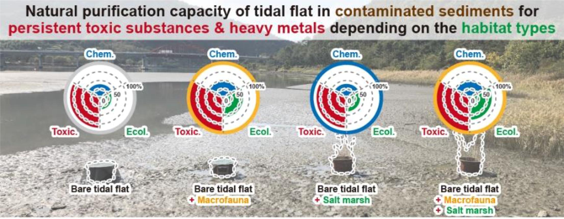 “Integrated assessment of the natural purification capacity of tidal flat for persistent toxic subst... 사진