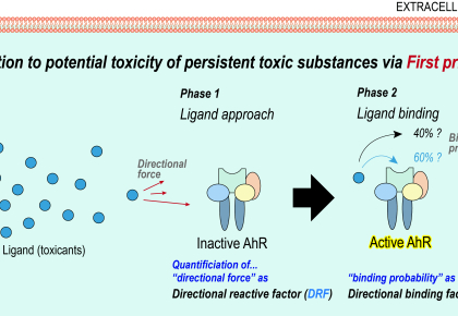 “Prediction of Cytotoxicity of Polycyclic Aromatic Hydrocarbons from First principles” Science of th... 사진