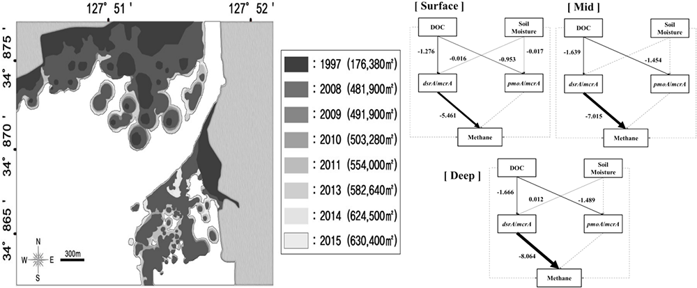 논문 > "Microbial mechanism for enhanced methane emission in deep soil layer of Phragmites-int... 사진