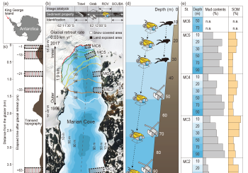 “Shifts in benthic magafauna communities after glacial retreat in an Antarctic fjord” Communications... 사진