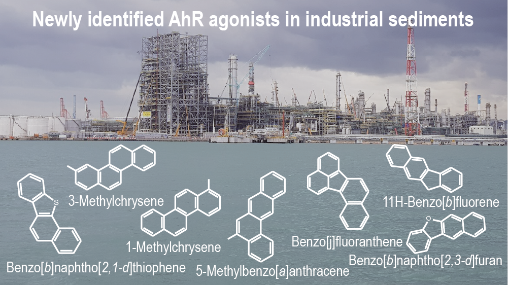 논문 > "Newly Identified AhR-Active Compounds in the Sediments of An Industrial Area Using Eff... 사진