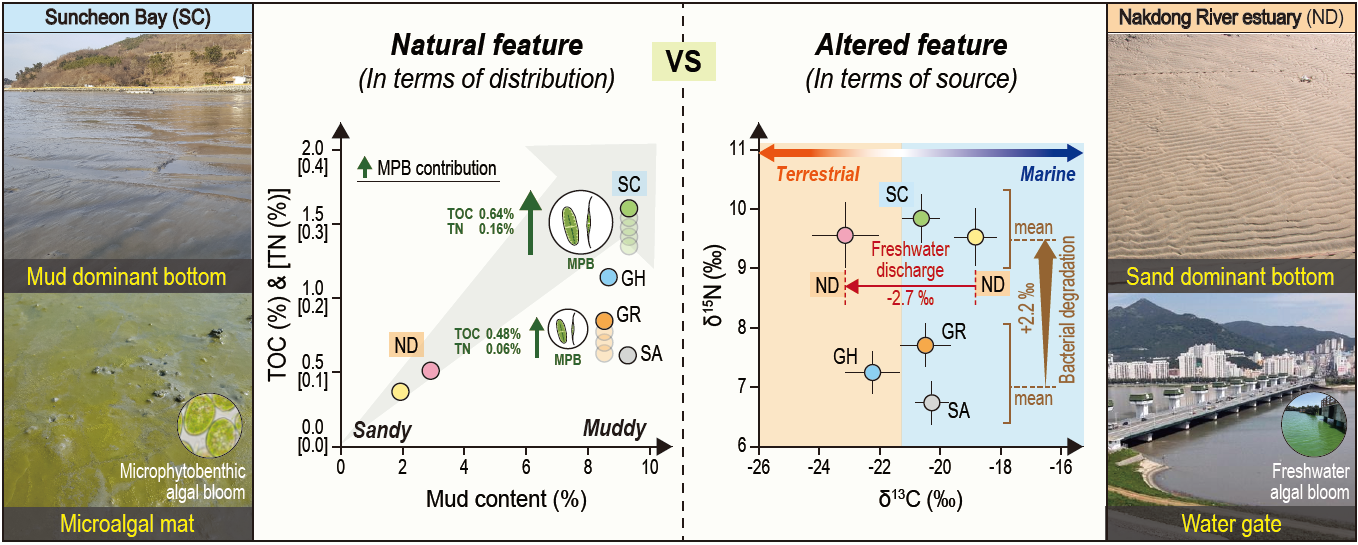 논문 > "Natural and anthropogenic signatures on sedimentary organic matters across varying int... 사진